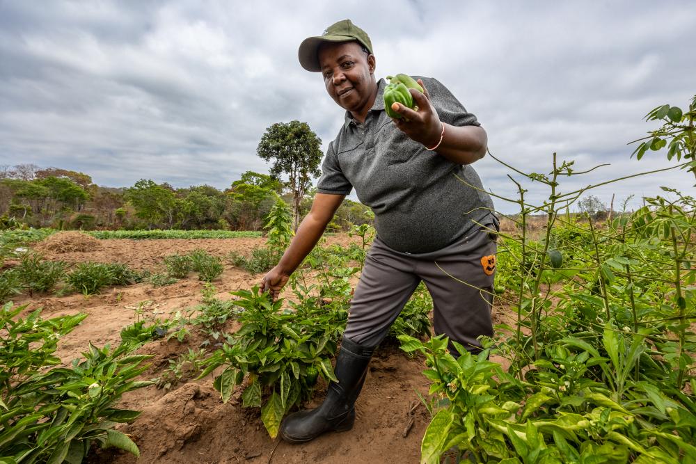 Une agricultrice avec ses légumes dans le sud de la Tanzanie.