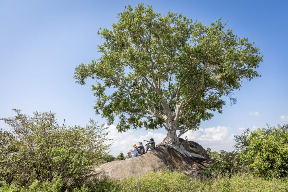 Les invités font une pause lors d'un safari à pied, dans le nord du Serengeti, en Tanzanie.