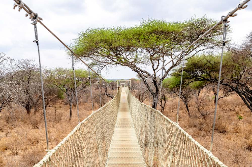 Pont surélevé, Oliver's Camp, parc national de Tarangire.