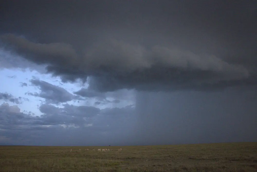 Précipitations dans les plaines, parc national du Serengeti, Tanzanie.