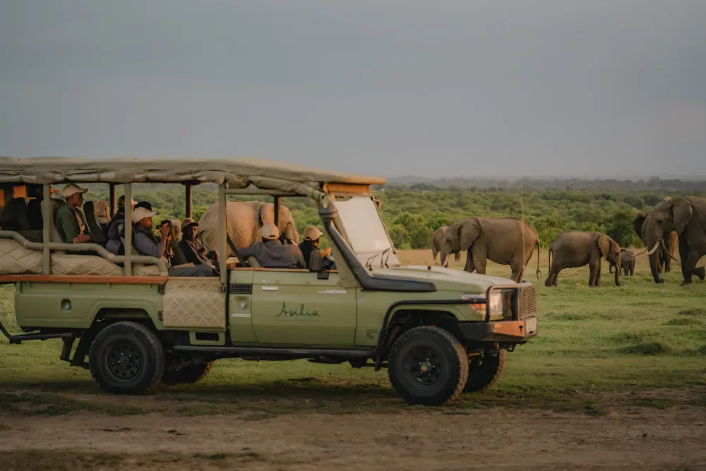 Des enfants observent des éléphants dans la réserve Ol Pejeta, au Kenya.