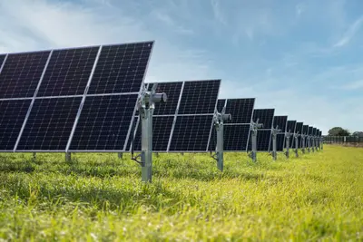 The solar panels are going up. The wind farms are being commissioned. The investment is flowing. The problem? The wires to carry all that electricity don