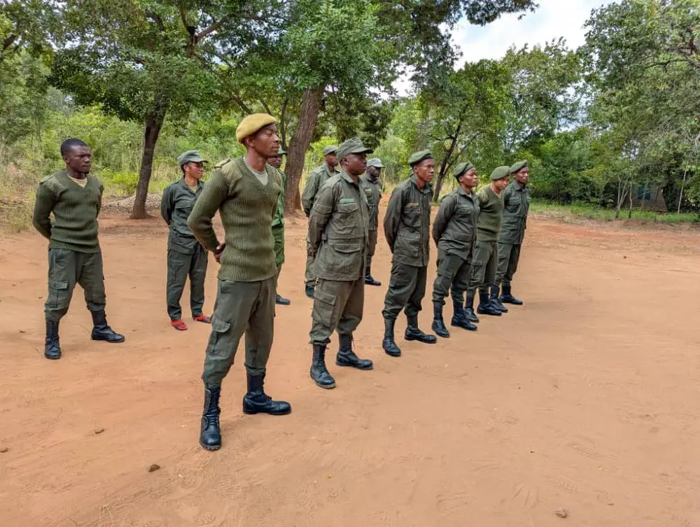 Une file de rangers, Nalika WMA, sud de la Tanzanie.