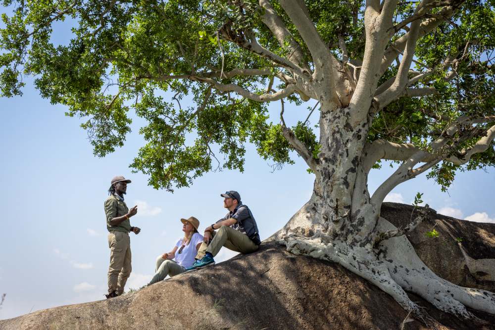 Un guide et des invités dans le nord du Serengeti, en Tanzanie.