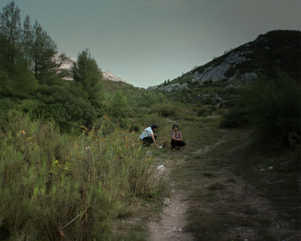 Un homme et une femme sont accroupis sur l’herbe au milieu des montagnes et d’un arbre.
