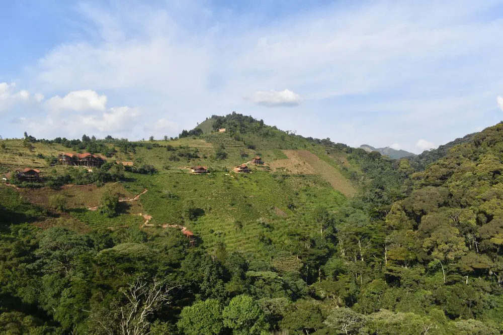 Le site d'Erebero Hills, Bwindi, Ouganda.