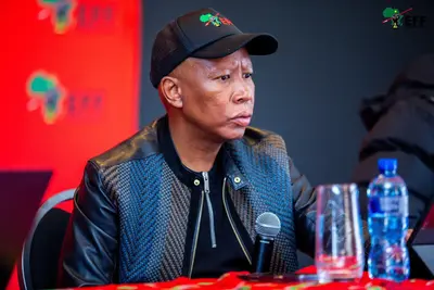 Malema denies role in plot to oust former intelligence inspector-general
