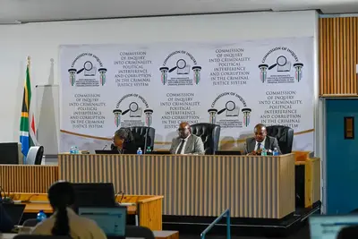 Witness M testimony shuts public access to Madlanga Commission for several days