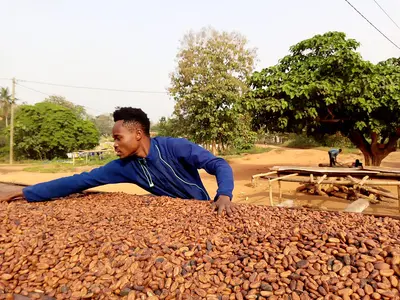 Anthony Ohemeng-Boamah