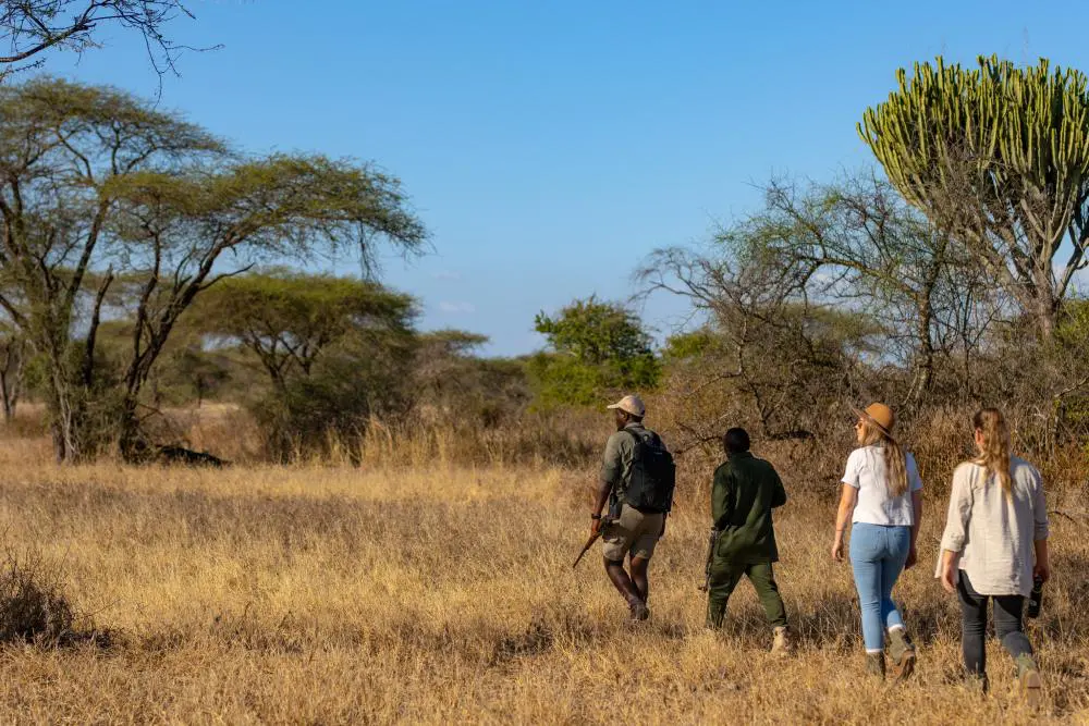 Un safari à pied dans les zones humides d'Usangu, au sud de Ruaha, en Tanzanie