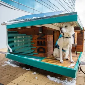 Les manoirs vont aux chiens