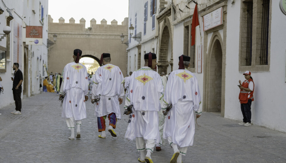 Quatre hommes marocains en tenue blanche traditionnelle s'éloignent de la caméra dans la médina d'Essouira.