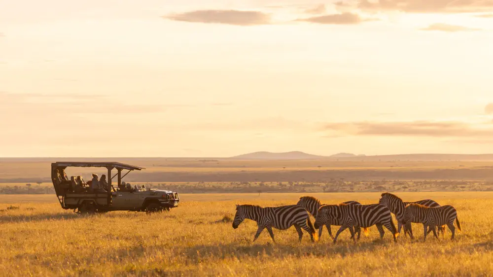 Safaris dans le Mara Naboisho Conservancy, Kenya