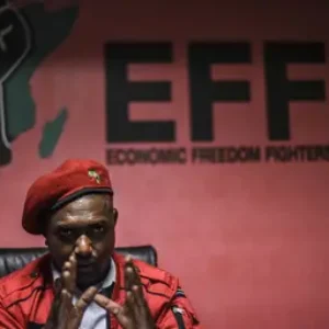 Gardee vise AfriForum : « Nous ne nous laisserons pas distraire par les lézards ; nous avons un crocodile à affronter. »