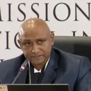 Le patron des KZN Hawks dit que Mchunu a fait pression sur lui pour impliquer Mkhwanazi dans les fusillades de la police