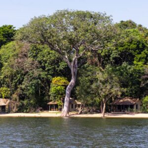Comment Rubondo façonne l'avenir de la jeunesse locale