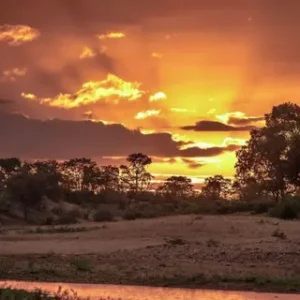 Le SAWS prévient que le phénomène El Niño exceptionnellement fort en 2026/2027 pourrait provoquer de graves vagues de chaleur en Afrique du Sud