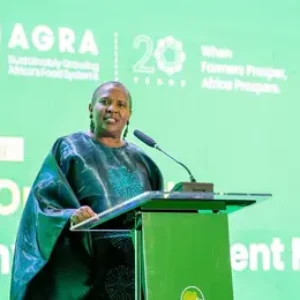 La Révolution verte en Afrique n’a pas réussi à produire les gains promis, selon une nouvelle évaluation