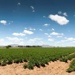 El Niño est sur le point de devenir un événement très puissant, selon l'OMM