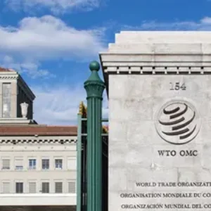 Le règlement des différends, le commerce numérique et les petites entreprises sont au cœur des priorités de l'OMC