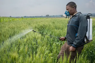 Systemic pesticide-related abuses include farmworkers exposed to hazardous chemicals without protective gear or training and contamination of rural water sources. (Flickr)