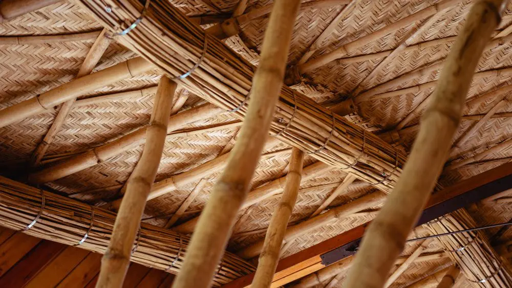 Couches de conception structurelle, Erebero Hills, Ouganda.
