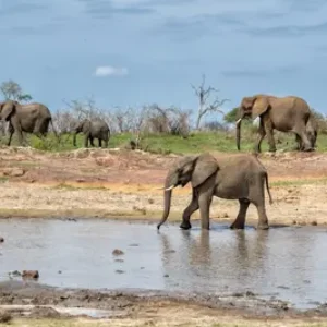 La conservation ne peut pas réussir si les communautés sont laissées pour compte