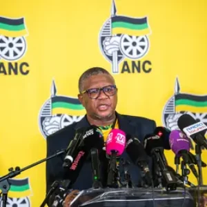 L'ANC se rend à ConCourt pour tenter de faire voter 181 conseillers