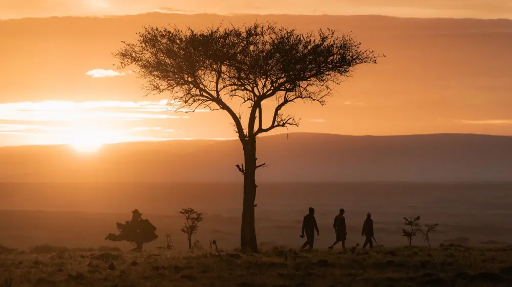 Safari à pied, camp Naboisho, Mara Naboisho Conservancy, Kenya.
