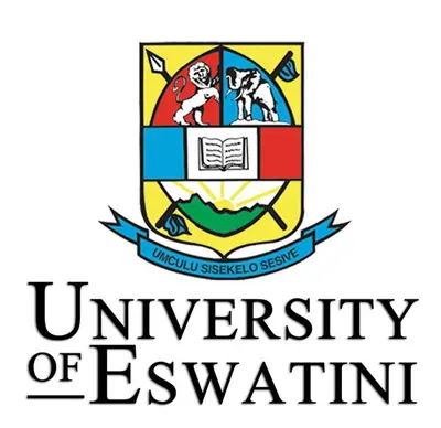 Pro Vice Chancellor (Academic)