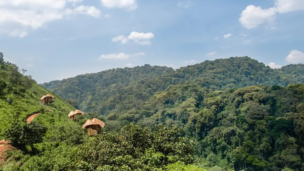 Collines d'Erebero, Ouganda.