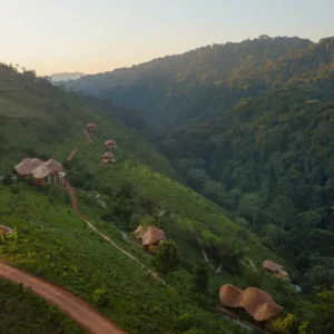 Au-delà des gorilles – Explorer Bwindi depuis les collines d'Erebero