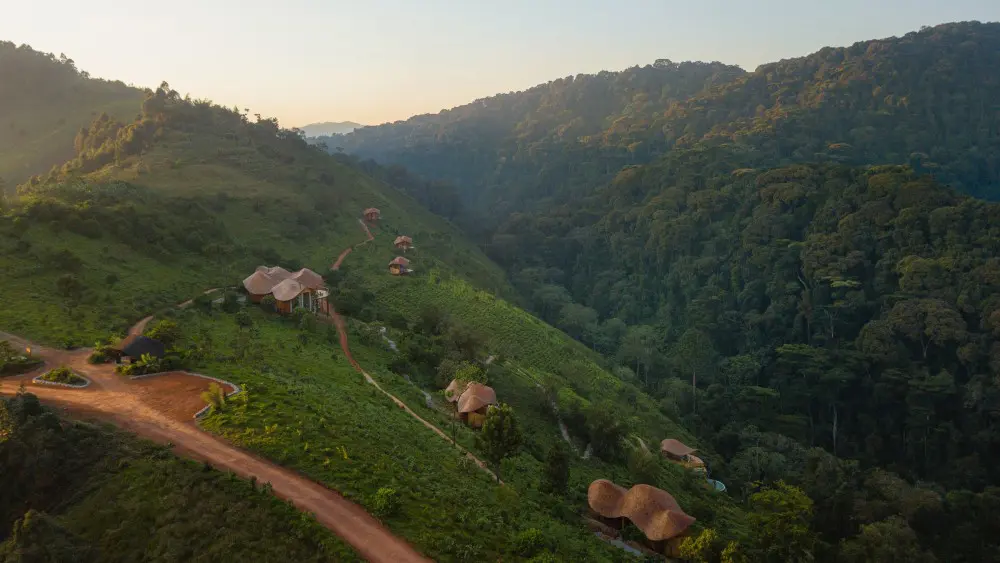 Vue aérienne des collines d'Erebero, Bwindi, Ouganda.