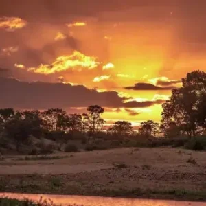 L’Afrique est confrontée à des dizaines de milliers de décès supplémentaires dus à la chaleur alors qu’El Niño s’intensifie