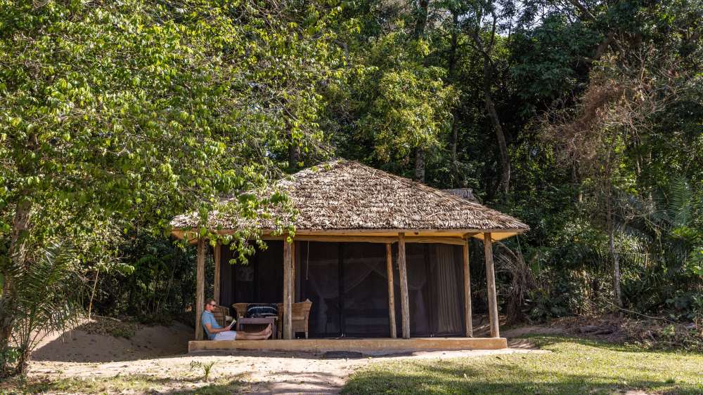 Camp de l'île Rubondo, lac Victoria, Tanzanie.