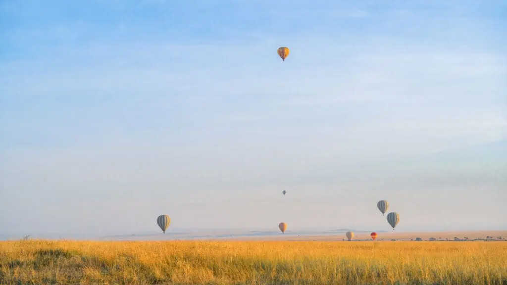 Le ciel au-dessus des plaines du Serengeti parsemé de nombreuses montgolfières colorées