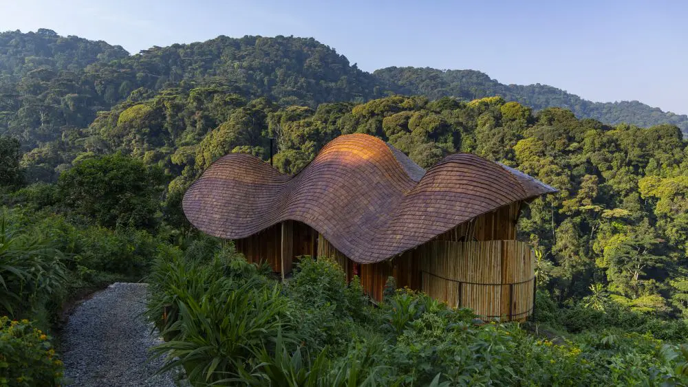 Suite d'hôtes, Erebero Hills, forêt impénétrable de Bwindi, Ouganda