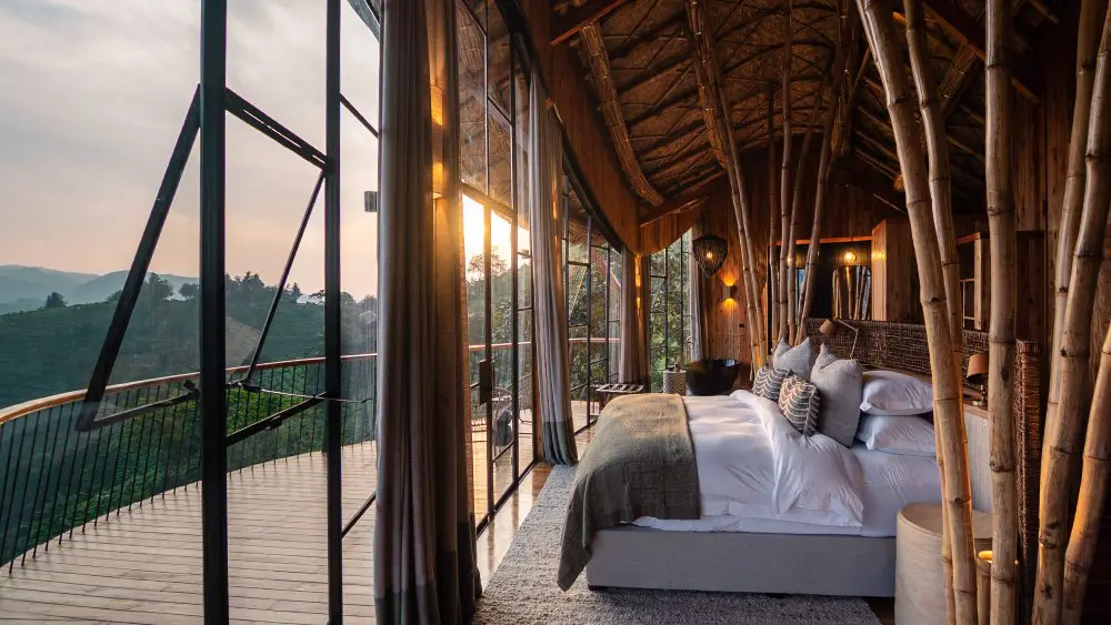Suite d'hôtes, Erebero Hills, forêt impénétrable de Bwindi, Ouganda