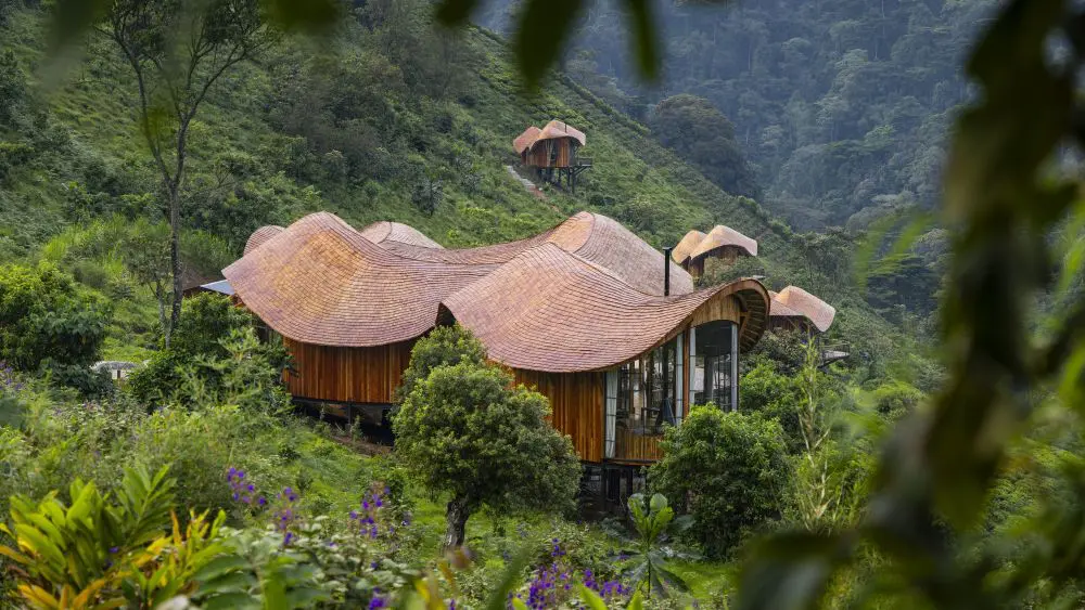 Zone principale, collines d'Erebero, forêt impénétrable de Bwindi, Ouganda
