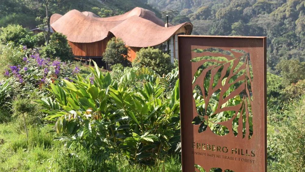 Collines d'Erebero, forêt impénétrable de Bwindi, Ouganda