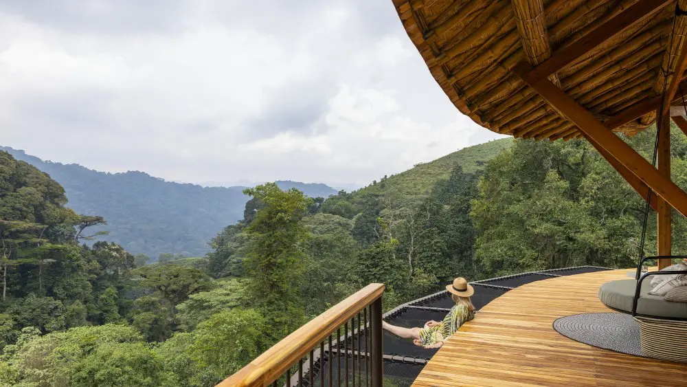 Zone de piscine, collines d'Erebero, forêt impénétrable de Bwindi, Ouganda