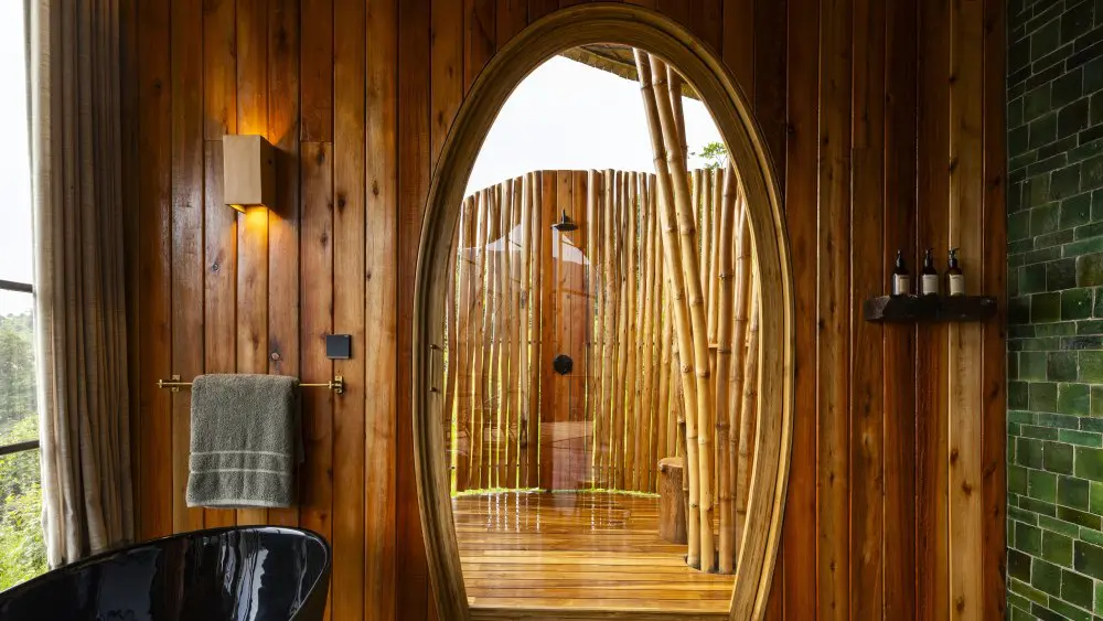 Suite d'hôtes, Erebero Hills, forêt impénétrable de Bwindi, Ouganda