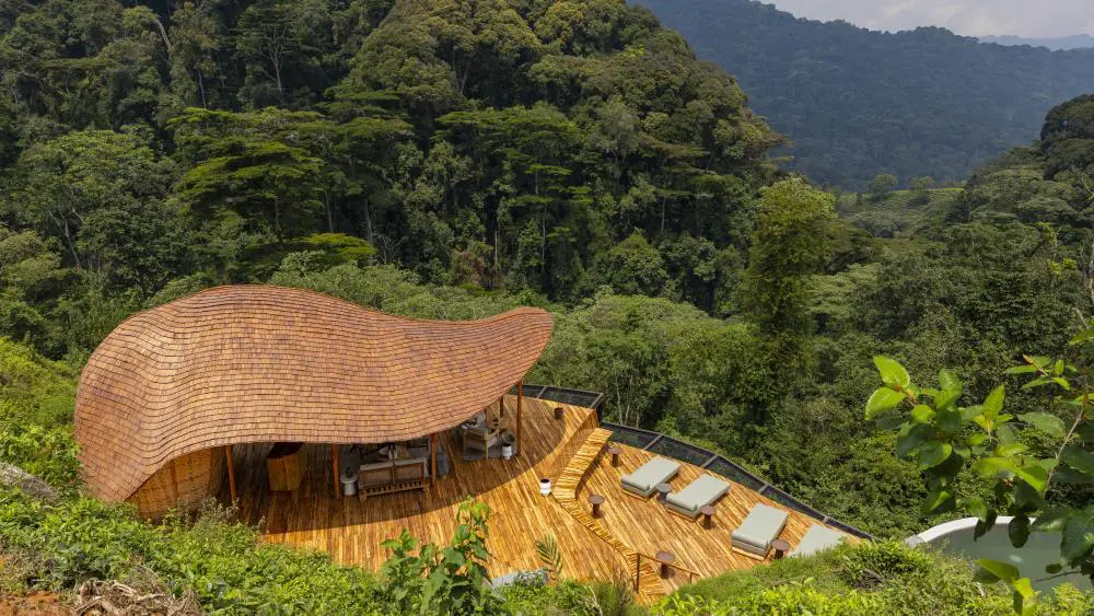 Zone de piscine, collines d'Erebero, forêt impénétrable de Bwindi, Ouganda