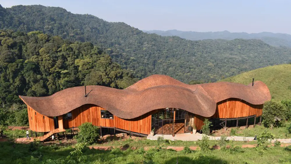 Zone principale, collines d'Erebero, forêt impénétrable de Bwindi, Ouganda