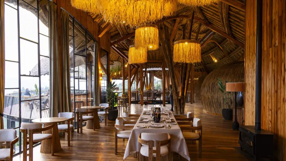 Salle à manger, Erebero Hills, forêt impénétrable de Bwindi, Ouganda