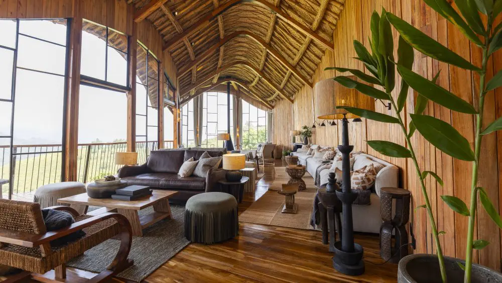 Zone principale, collines d'Erebero, forêt impénétrable de Bwindi, Ouganda
