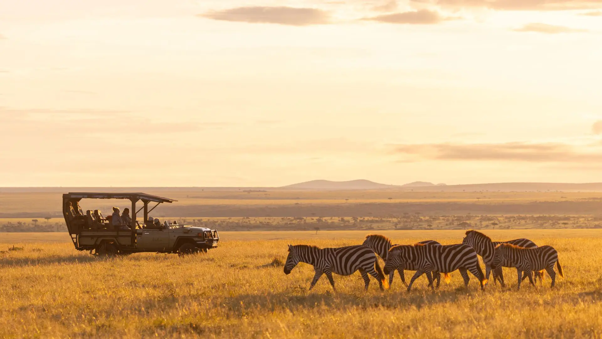 Un troupeau de zèbres se promène dans les prairies ensoleillées tandis que les invités regardent depuis un véhicule de safari le coucher du soleil, avec des plaines ouvertes s'étendant au loin.