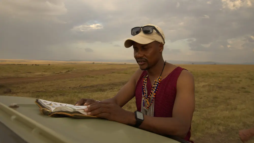 Kenkoko, Conservatoire Mara Naboisho, Kenya.
