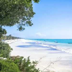 Pourquoi choisir des vacances dans la brousse et la plage en Afrique ?