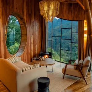 Rencontrez les créateurs – V Interiors